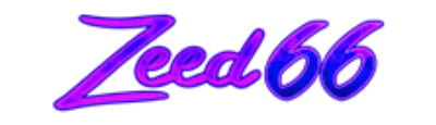 ZeeD66 - logo